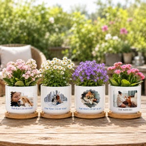 May include: Four white ceramic planters with bamboo saucers, each featuring a custom photo of a dog and the text "PAW PRINTS ON MY HEART" or "LOVE NEVER DIES". The planters contain blooming pink, white, and purple flowers in a garden setting.