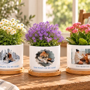 Puede incluir: Tres macetas cilíndricas de cerámica blanca con platillos de bambú, cada una con una foto y texto personalizados. Las macetas izquierda y central muestran "PAW PRINTS ON MY HEART" con fotos, la derecha muestra "LOVE NEVER DIES" con una foto.