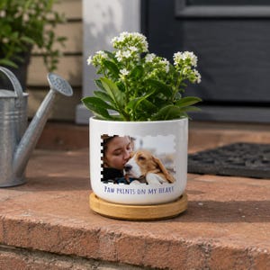 May include: A white ceramic planter with a bamboo base containing a green plant with small white flowers. The planter features a rectangular photo print of a person hugging a beagle dog, with the text "PAW PRINTS ON MY HEART" printed below.