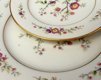 Vintage Noritake Porcelain Dishes,Asian Song 7151,1970s,Multi Floral, Salad and Bread Plate,Moriage,Kitchen and Dining,Ivory Background