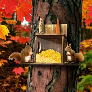 Wooden Squirrel Feeder House – Chipmunk Feeding Box with Acrylic Window for Corn, Peanuts, Seeds – Backyard Wildlife Feeder