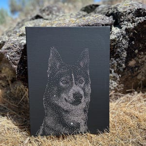 Custom Rhinestone Pet Portrait: Sparkling Crystal Canvas Art