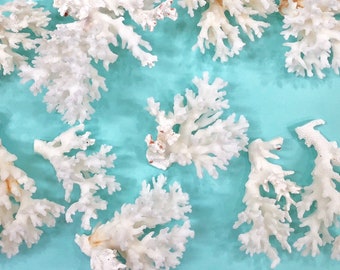 real coral etsy