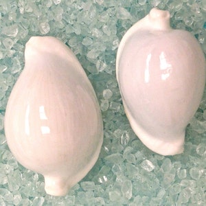 May include: Two white ceramic decorative pieces, possibly for essential oils, with a smooth, glossy finish. The teardrop-shaped objects have a small opening at the top and are set against a background of light blue crushed glass.