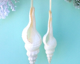 Beach Christmas Ornaments - Set/2 Spindle Shells - Choose Natural or Glittered - seashell ornament coastal christmas Xmas Shell Ornament