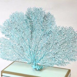 Beach Decor - MANY COLORS AVAILABLE - Natural Dried Painted Sea Fan - Wall Decor