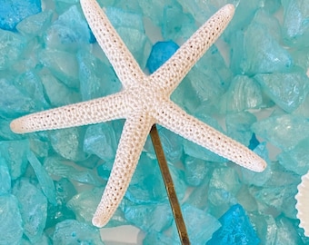 Natural Starfish Hair Pins - Set of Two - Free Shipping  - Beach Hair Accessories, Coastal Wedding Hair Pins