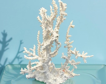 Large Genuine Octopus Coral Creation – Coastal Beach Decor Centerpiece - 22"w x 12"d x 23"h
