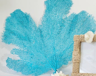 Sea Fan - Extra Large Natural Sea Fan 14"-16 or 18"-20" - Choose Aqua, Island Blue, Silver, Gold Coral, Navy Blue, Turquoise or White