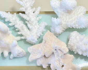5 Natural Coral Pieces - Beach Wedding Decor, Crafting Supplies, Nautical Crafts, Coastal Styling, Ocean Theme (Assorted 2"-4")