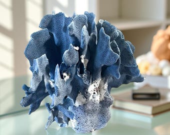 Blue Coral - Real Genuine Coastal Beach Decor Nautical Home Accent Wedding Centerpiece (7"w x 6"d x 7"h)