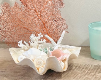 Capiz Shell Bowl with Sea Life - Seashells-Beach Decor-Sea Shell Decor-Seashell Bowl-Starfish-Coral