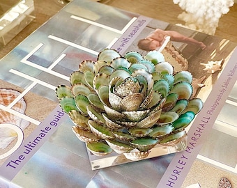 Seashell 'Flower" on Lucite Stand - Natural (Real) - beach decor/coastal/sea shell/seashells/table decor