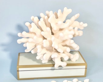 Beach Decor - Large Real Natural Pacific Coral - Free Shipping - 9"x6" real coral coastal beach decor nautical 35th anniversary gift