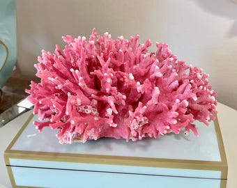 RARE Select Natural Pink Coral (8"w x 6"d x 4.5"h)