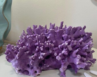 Rare Select Natural Purple Coral 10"w x 7.5"d x 4.75"h