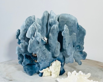 Natural Blue Coral - Free Shipping - You will receive the one pictured - Coastal Decor 35th Anniversary Gift Real Nautical