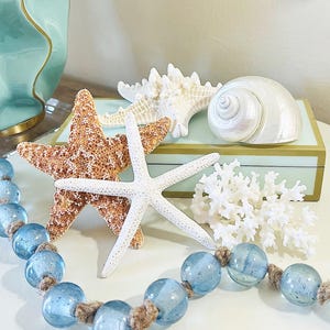 Starfish, Shell & Coral Collection - Natural Sea Life for Beach Wedding Decor, Nautical Party Styling, Ocean Theme Centerpiece Idea, Gift