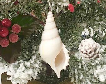 Beach Christmas Ornament - Tibia Shell - natural real sea shell ornament coastal Xmas tree