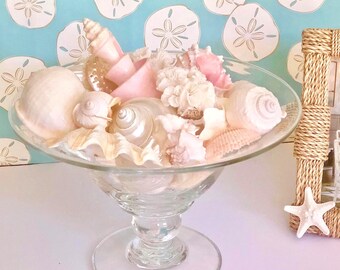 Seashells and Coral Collection - Seashells-Beach Decor-Coral Centerpiece (glass pedestal not included)