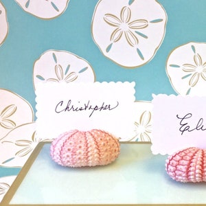 25 Beach Wedding Place Card Holders - Natural Pink Sea Urchins - Beach Weddings, Beach Showers, Beach Dinners, coastal, sea shells,
