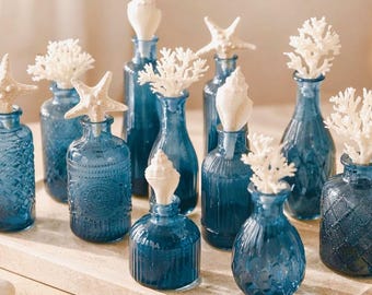 Set of 3 Glass Bottles with Natural Sea Life – Coastal Bathroom Decor