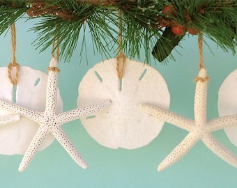 Beach Christmas Ornaments, Set of 6, Seashell Ornaments, Coastal, Beach Christmas Decor, Beach Decor, Natural Starfish and Sand Dollars Xmas