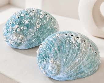 2 Genuine Green Large Abalone Shells| large seashells, giant seashells, coastal decor, Seashell Display |Real Seashells Beach Bathroom Decor