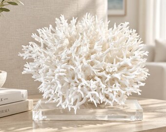 Genuine Birds Nest Coral (8.5"w) – Authentic Coastal Beach Decor