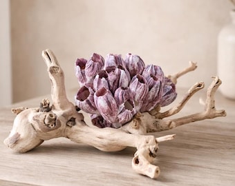 Coral & Grape Wood Branch Centerpiece – Coastal Display Centerpiece 12"w x 11"d