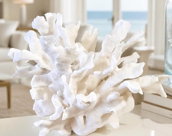 Cactus Coral (5"-8") Authentic Natural Real Sea Fossil Coastal Décor | Nautical Centerpiece|Tropical Centerpiece |Genuine Beach Real Coral