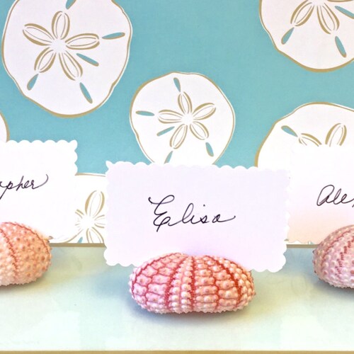 100 Seashell Place Card Holders Beach Weddings Beach Etsy