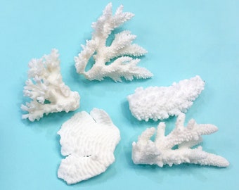 real coral etsy
