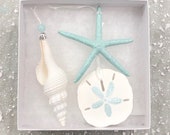 Beach Christmas Ornaments - Gift Boxed Set of 3 Ornaments -Natural Starfish, Sand Dollar Spindle Shell - coastal Xmas gift