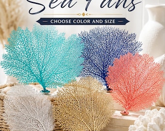 Real Natural Dried Painted Sea Fan | Natural Coral | Dried Coral | Coastal Centerpiece | Beach Wedding Centerpiece | Beach Decorations Wall