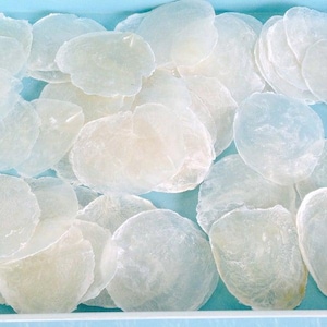 May include: A close-up of a pile of white, translucent, iridescent mother of pearl shell pieces. The shells are various sizes and shapes, and they are arranged in a random pattern.