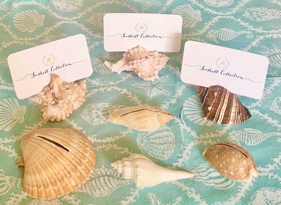 10 Seashell Card Holders With Optional Plain White Cards Beach Weddings