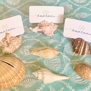 Beach themed wedding place card holders discount