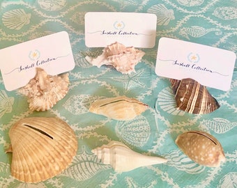 10 Seashell Card Holders with optional Plain White cards - Beach Weddings, Showers, sea shells, place cards, dessert table cards nautical