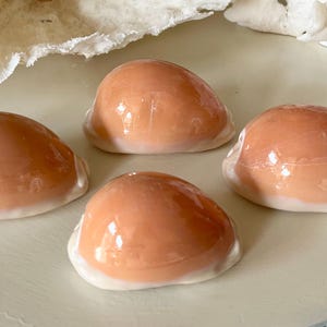 RARE Golden Cowries - 3&quot;-3.5&quot; Sold Individually  beach decor/coastal/shells/sea shells