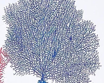 Beach Decor - MANY COLORS AVAILABLE - Natural Dried Painted Sea Fan - Wall Decor