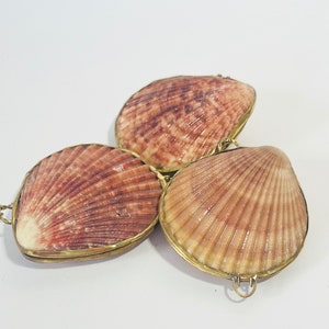 Shell Box Natural Seashell Ring Box Beach or coastal Wedding, Perfume Holder, pill box, jewelry box image 5