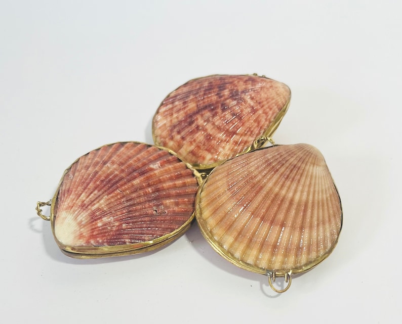 Shell Box Natural Seashell Ring Box Beach or coastal Wedding, Perfume Holder, pill box, jewelry box Brown/Purple