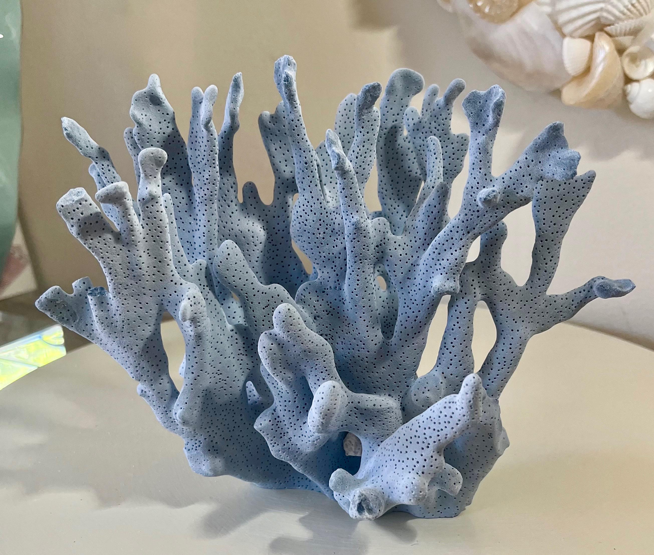 Blue Ridge Coral Authentic Natural Real Sea Fossil