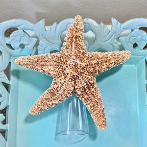Starfish Christmas Tree Topper - 2 Sizes - Christmas Decoration Beach Decor Ornaments Star fish