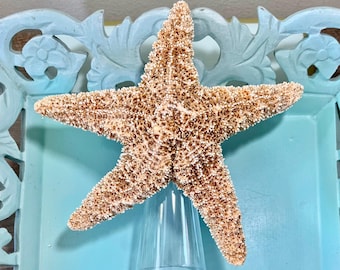 Starfish Christmas Tree Topper - 2 Sizes - Christmas Decoration Beach Decor Ornaments Star fish
