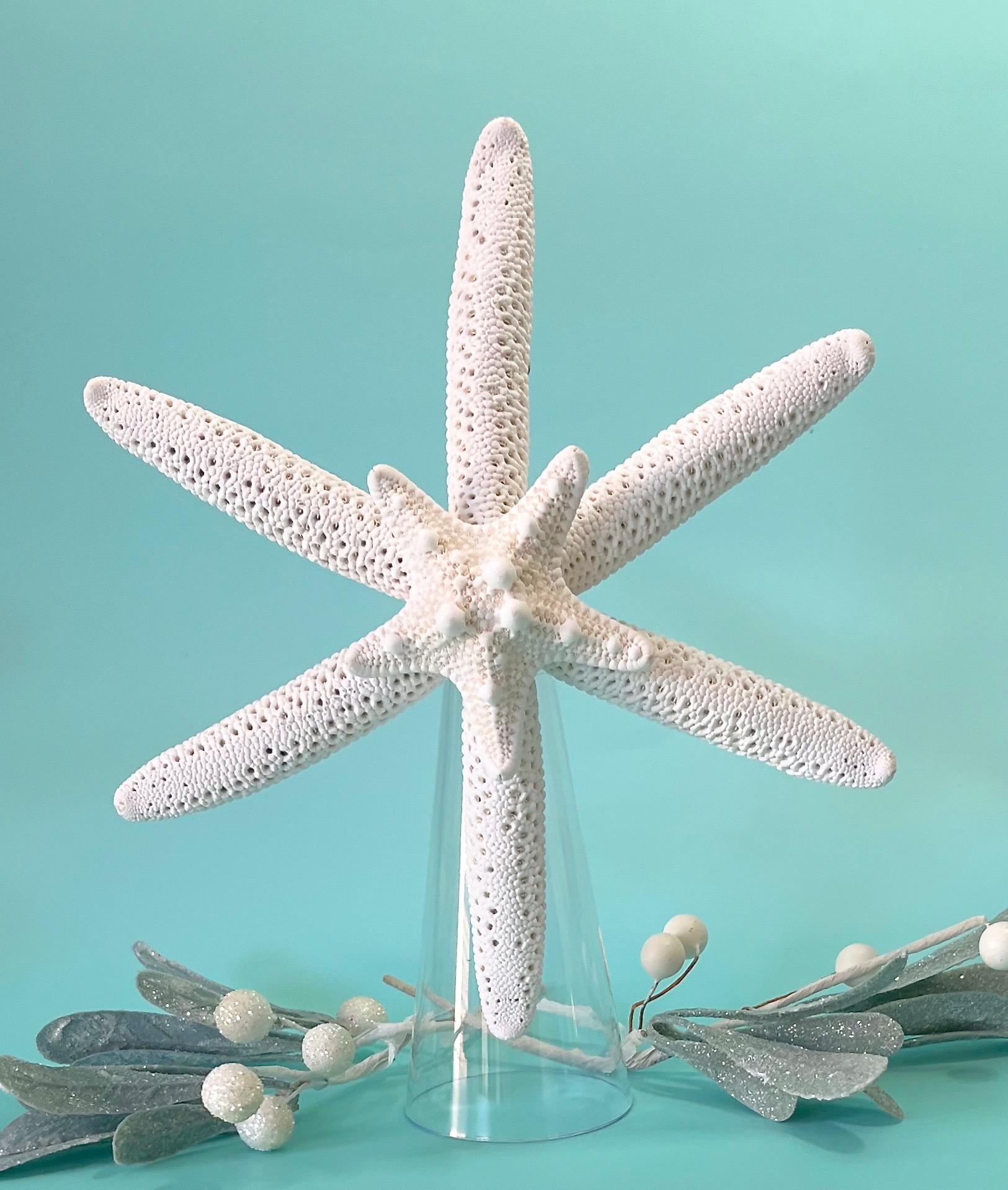 Fish Tree Topper Starfish Christmas Tree Topper - Rare Six Arm Starfish - Real Starfish ...