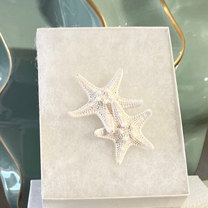 Natural Real Starfish Hair Barrette Choose Double or Triple Starfish with Pearls, Crystals or Plain Beach Hair Accessories, Wedding image 2