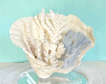 Coral - Natural (real) Coral Creation on Lucite Stand - real coral coastal beach decor nautical 35th anniversary gift