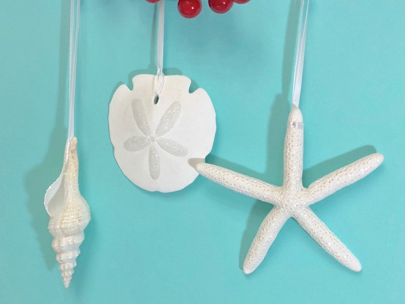 Beach Christmas Ornaments Set of 3 Glittered Natural Starfish, Sand Dollar & Spindle Shell coastal Xmas gift image 1